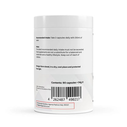 Magnesium Complex + Vitamin B6 - 90 Capsules - Biofit Genetics