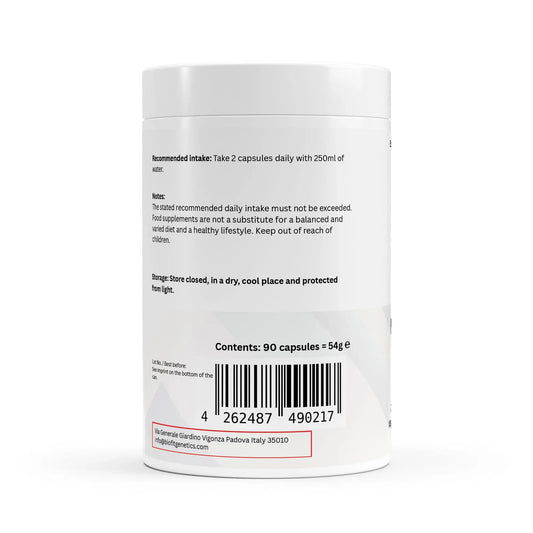 Magnesium Complex + Vitamin B6 - 90 Capsules - Biofit Genetics